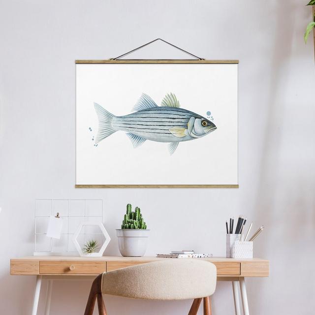 Colour Catch - White Perch - Graphic Art Print Highland Dunes Size: 37.5cm H x 50cm W x 0.3cm D on Productcaster.