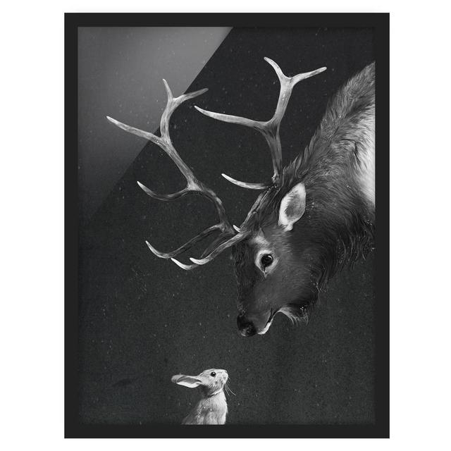 Illustration Deer and Hare Black and White - Picture Frame Graphic Art Ebern Designs Size: 55cm H x 40cm W x 2cm D, Frame Option: Black Framed on Productcaster.