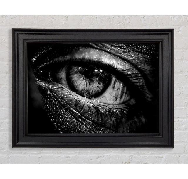 The Eye Of Knowledge Framed Print Ebern Designs Size: 29.7cm H x 42cm W on Productcaster.