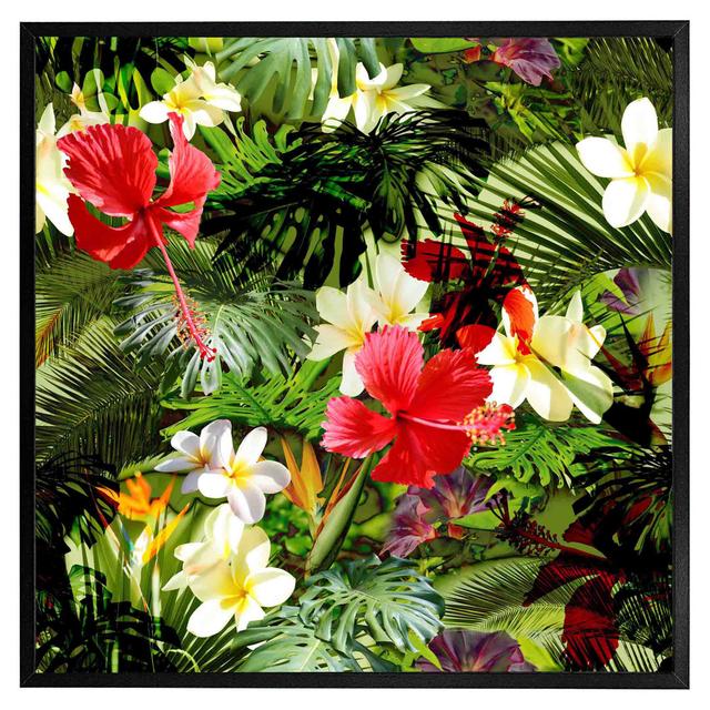 Millheim Tropical Foliage - Single Picture Frame Print 17 Stories Size: 61cm H x 61cm W x 4cm D, Frame Colour: Black Framed on Productcaster.