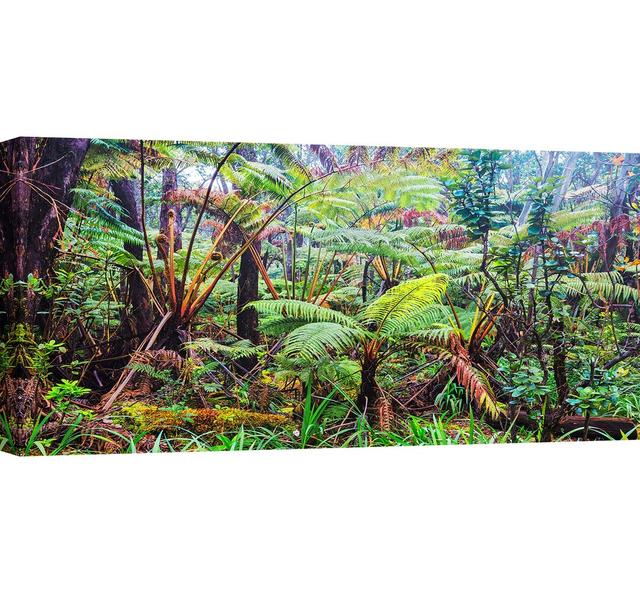 Palm and Fern Forest, Hawaii - Wrapped Canvas Photograph Print Ebern Designs Size: 50cm H x 100cm W on Productcaster.