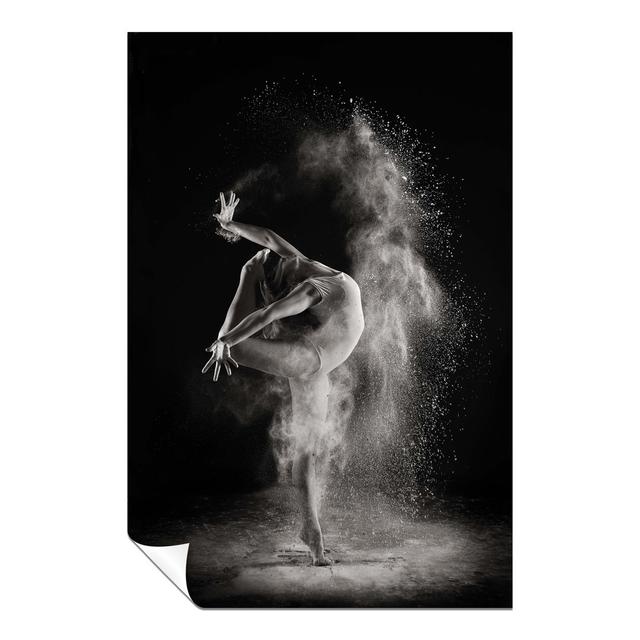 Graceful Ballerina Performance In Light And Shade - No Frame Print Panther Print Size: 61cm H x 41cm W x 1cm D on Productcaster.