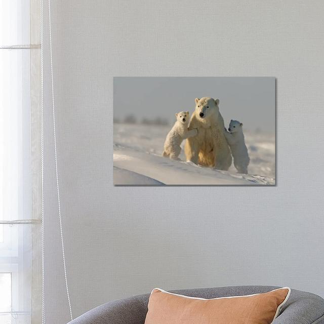 Polar Bears Cubs II By Miguel Lasa - Wrapped Canvas Graphic Art by Miguel Lasa - Wrapped Canvas Gallery-Wrapped Canvas Giclée Union Rustic Size: 45.72 on Productcaster.