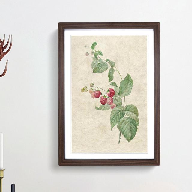 Raspberry Plant by Pierre-Joseph Redoute - Picture Frame Painting Print East Urban Home Frame Option: Walnut Framed, Size: 65cm H x 48cm W x 2cm D on Productcaster.