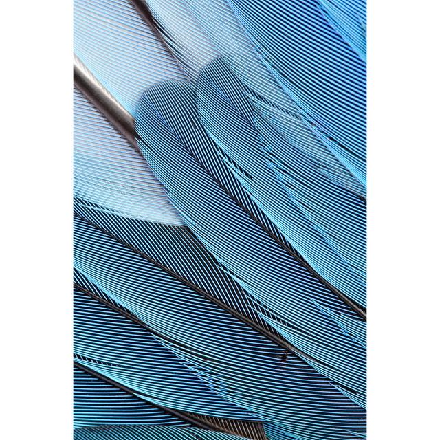 Blue Feathers by Newbird - No Frame Print on Canvas 17 Stories Size: 91cm H x 61cm W on Productcaster.