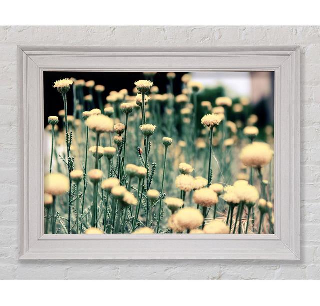 Poppy Stalks - Print Ebern Designs Size: 100cm H x 141.4cm W x 8cm on Productcaster.