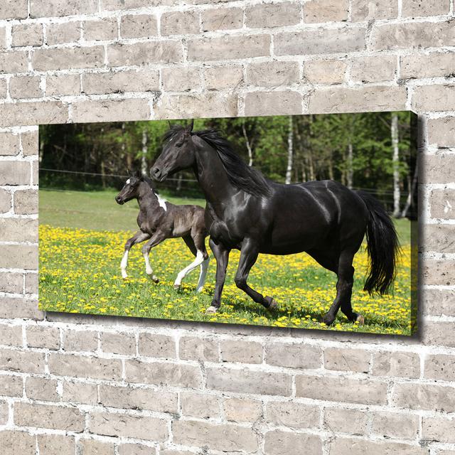 Mare with Foal - Unframed Art Prints Gracie Oaks Format: Canvas, Size: 70cm H x 140cm W x 2cm D on Productcaster.