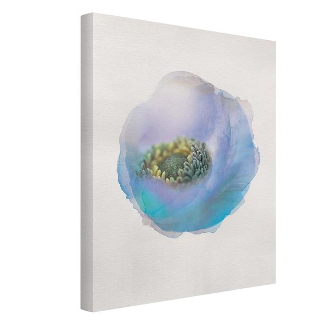 Wasserfarben - Anemone Auf Dem Fluss Watercolour Anemone On The River by - Wrapped Canvas Graphic Art Rosalind Wheeler on Productcaster.