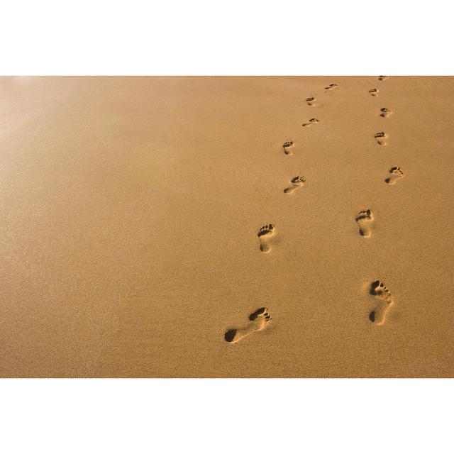 Footprints by DNY59 - No Frame Art Prints on Canvas Beachcrest Home Size: 51cm H x 76cm W on Productcaster.