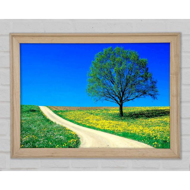 Gerahmtes Leinwandbild The Lonely Tree Road Rosalind Wheeler Größe: 42 cm H x 59,7 cm B x 1,5 cm T, Format: Poster mit Naturholz-Rahmen on Productcaster.