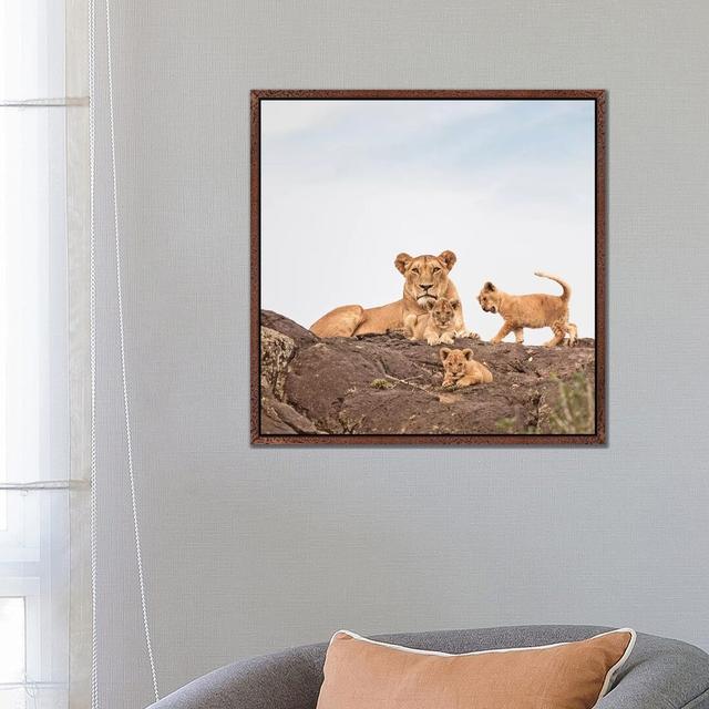 Colour Lioness & Cubs by Klaus Tiedge - Print on Canvas World Menagerie Format: Classic Brown Wood Framed Canvas, Size: 66.04cm H x 66.04cm W x 3.81cm on Productcaster.