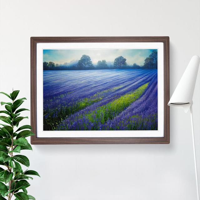 Magnetic Bluebell Field - Picture Frame Painting ClassicLiving Frame Colour: Walnut, Size: 46cm H x 64cm W x 2cm D on Productcaster.