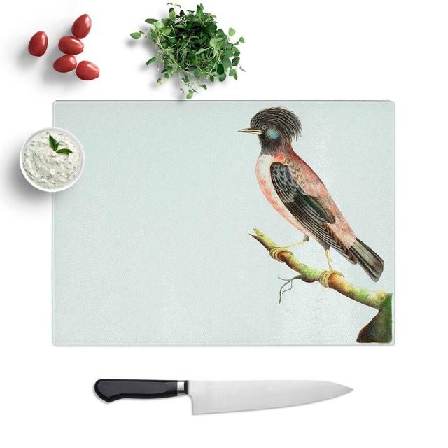 Tempered Glass Ouzel Bird by George Shaw Chopping Board East Urban Home Size: 28.5 cm W x 20 cm L on Productcaster.