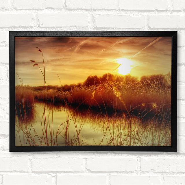 Sunset At Bieslandse Forest - Single Picture Frame Print Ebern Designs Size: 59.7cm H x 84.1cm W x 3.4cm D, Format: Bronze Framed Paper on Productcaster.