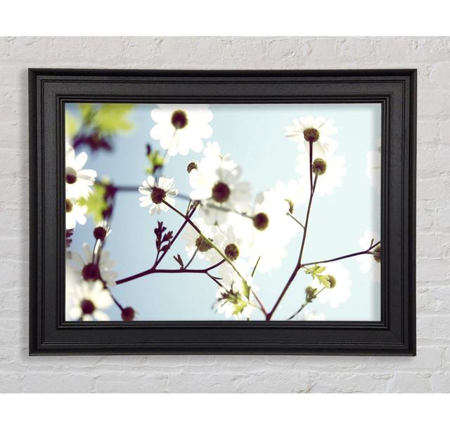 White Summer Flowers Framed Print Ophelia & Co. Size: 21cm H x 29.7cm W on Productcaster.