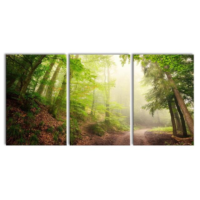 Rays Of Sun On Forest Path - 3 Piece Wrapped Canvas Print East Urban Home Size: 240 cm H x 120 cm W on Productcaster.