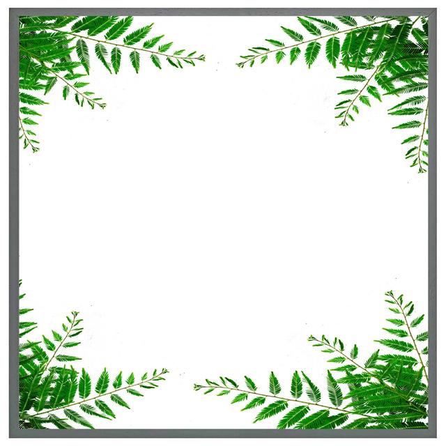 Bulpitt Green Botanicals - Single Picture Frame Print 17 Stories Format: Grey Framed, Size: 51cm H x 51cm W x 4cm D on Productcaster.