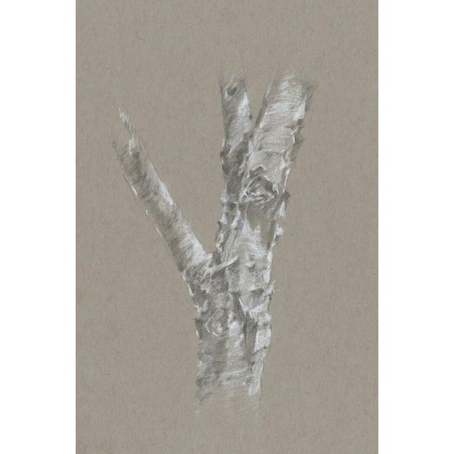 Chalk Birch Study II by Ethan Harper - Wrapped Canvas Print Union Rustic Size: 91cm H x 61cm W on Productcaster.