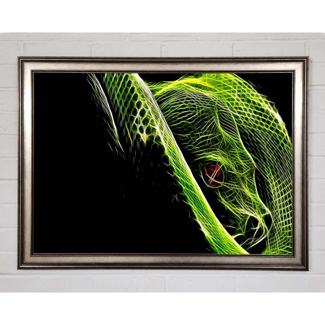 Green Blaze Snake - Single Picture Frame Art Prints Happy Larry Size: 59.7cm H x 84.1cm W on Productcaster.