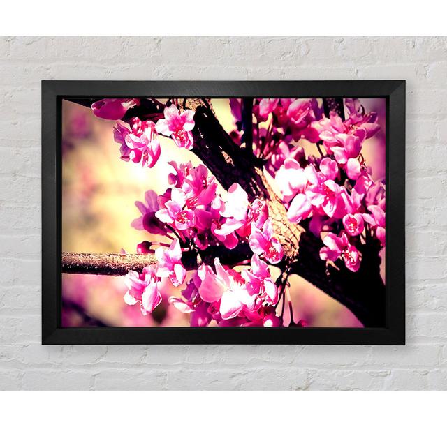 Pink Blossom - Single Picture Frame Art Prints Bright Star Size: 100cm H x 141.4cm W x 3.4cm D on Productcaster.