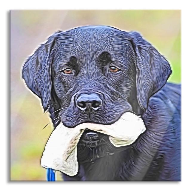 Black Dog with Toy - Unframed Photograph on Glass Ebern Designs Size: 80cm H x 80cm W on Productcaster.