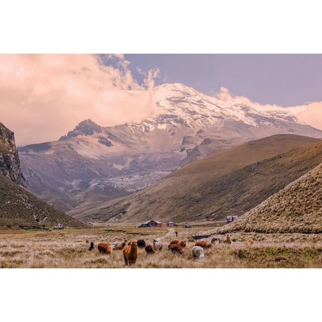 Herd Of Llamas Grazing - Wrapped Canvas Print Alpen Home Size: 30cm H x 46cm W on Productcaster.