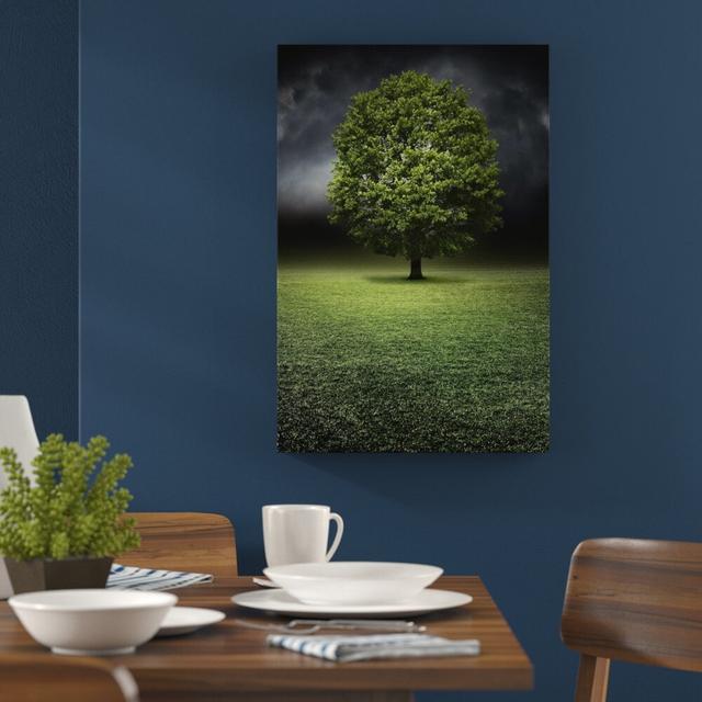 Leinwandbild „Einzelner Baum auf Grüner Wiese“, Grafikdruck East Urban Home Größe: 120 cm H x 80 cm B on Productcaster.