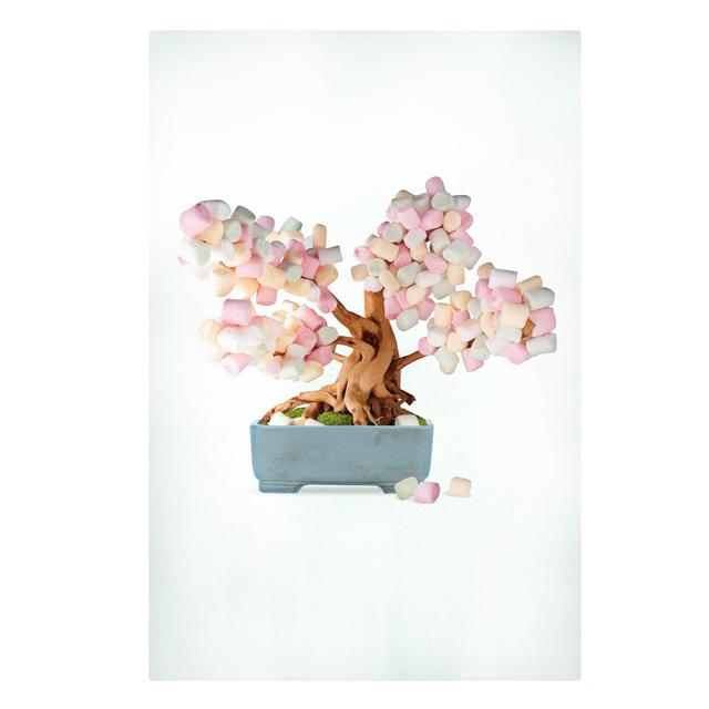 Jonas Loose - Bonsai with Marshmallows Art Print on Canvas Ebern Designs Format: 330g/m³ recycled canvas, Size: 90cm H x 60cm W on Productcaster.