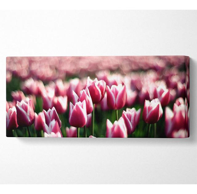 Pink Tulips Spring - Wrapped Canvas Art Prints Ebern Designs Size: 50.8cm H x 121.9cm W x 10cm D on Productcaster.