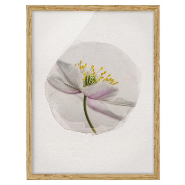 Nemorosa - Picture Frame Graphic Art Rosalind Wheeler Size: 55cm H x 40cm W x 2cm D, Frame Option: Brown Framed on Productcaster.