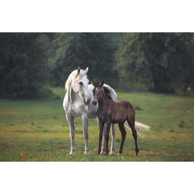 Mother's Horse Love by Julia_Siomuha - Wrapped Canvas Print Natur Pur Size: 51cm H x 76cm W on Productcaster.