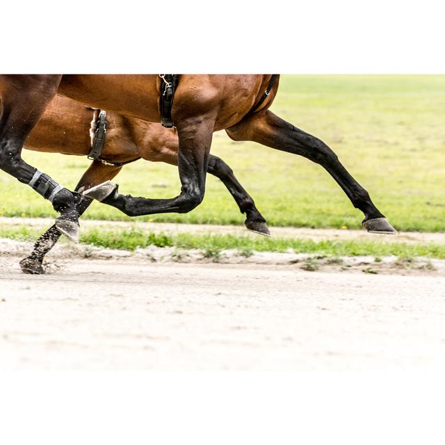 Two Horses On Harness Racing Competition Trotting Aligned by Zoran Kolundzija - No Frame Art Prints on Canvas Natur Pur Size: 61cm H x 91cm W on Productcaster.