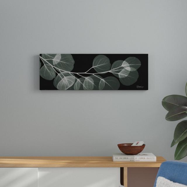 Eucalyptus Night 1 - Wrapped Canvas Graphic Art Print East Urban Home Size: 30 cm H x 91 cm W on Productcaster.