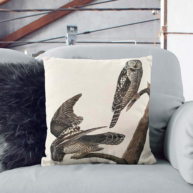 Hawk Owls by John James Audubon Cushion with Filling East Urban Home Size: 40cm H x 40cm W x 15cm D, Backing Colour: Black on Productcaster.