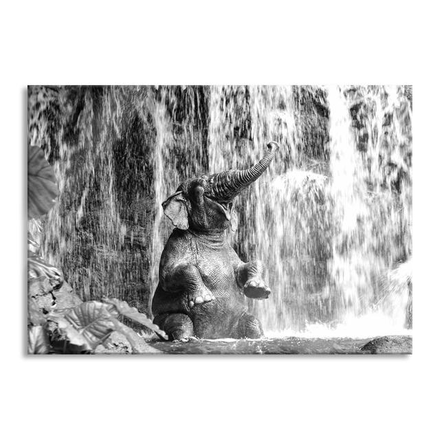 Baby Elephant at a Waterfall - Unframed Photograph on Glass 17 Stories Size: 60cm H x 80cm W x 0.4cm D, Frame Colour: Grey/Brown/Blue on Productcaster.