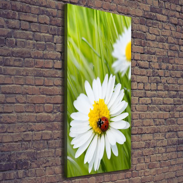 Daisies - Wrapped Canvas Art Prints Brayden Studio on Productcaster.