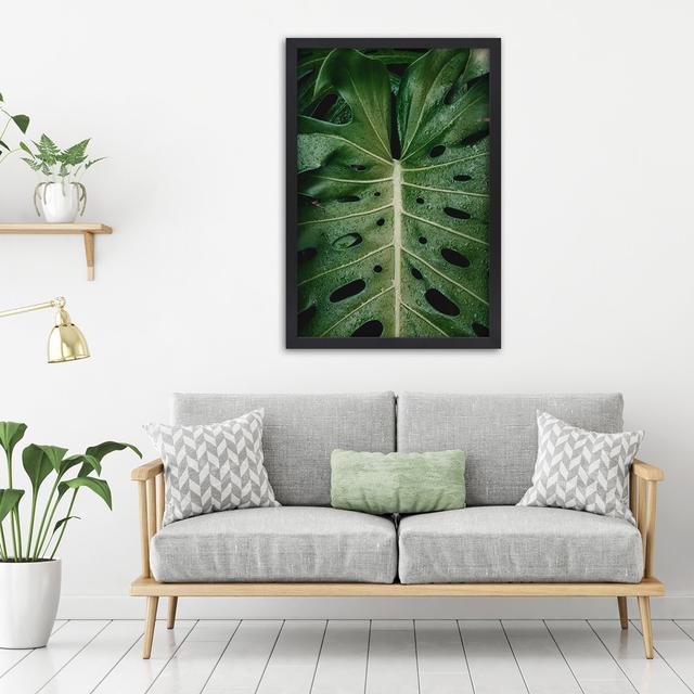 Gerahmtes Poster Leaf of the Iconic Monstera Sansibar Home Größe: 45 cm H x 30 cm B x 2 cm T on Productcaster.