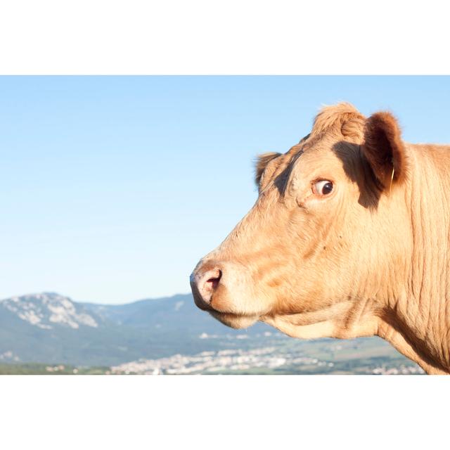 Mikonos Cow's Look by Kmatija - Wrapped Canvas Photograph Brambly Cottage Size: 51cm H x 76cm W x 3.8cm D on Productcaster.