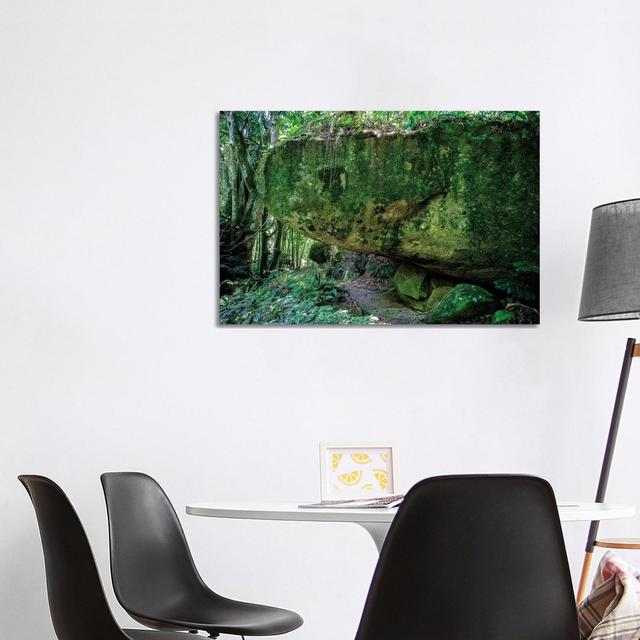 Tropical Forest X by Glauco Meneghelli - Wrapped Canvas Print Alpen Home Size: 66.04cm H x 101.6cm W x 1.9cm D on Productcaster.