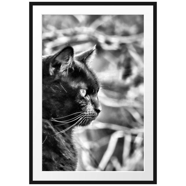 Gerahmtes Poster Schwarze Katze East Urban Home Größe: 100 cm H x 70 cm B on Productcaster.