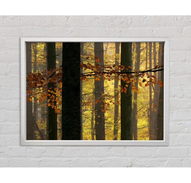 Golden Light Through The Trees Framed Print Bright Star Size: 84.1cm H x 118.9cm W on Productcaster.