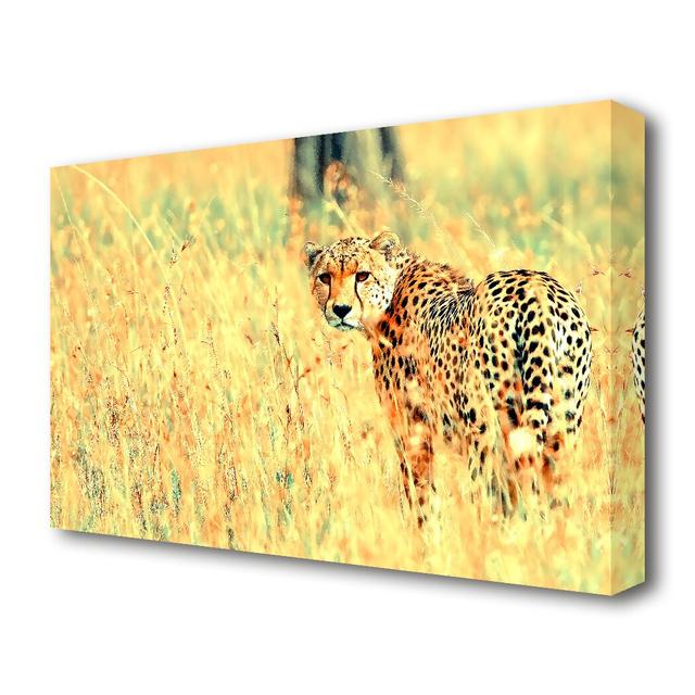 Beautiful Cheetah Wildlife - Wrapped Canvas Photograph Print East Urban Home Size: 81.3 cm H x 121.9 cm W x 4.4 D on Productcaster.