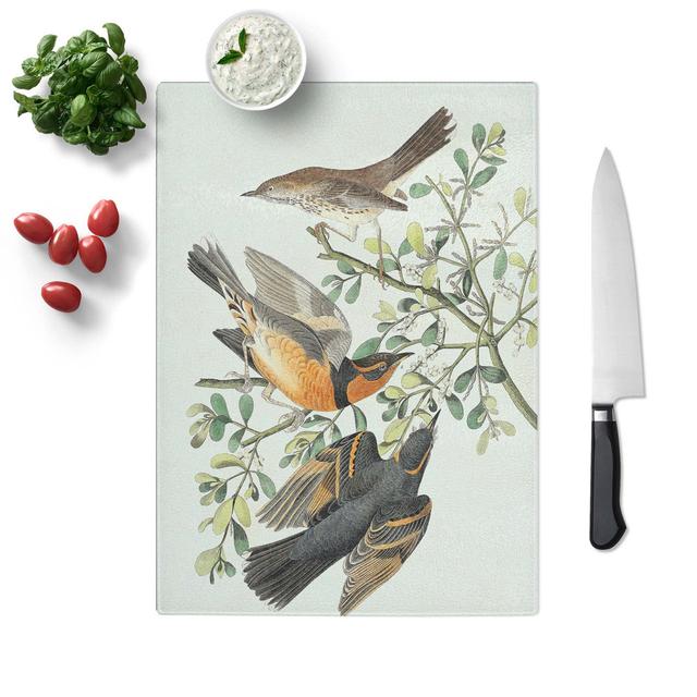 Tempered Glass Thrush and Mountain Mocking Birds by John James Audubon Chopping Board East Urban Home Size: 20 cm W x 28.5 cm L on Productcaster.