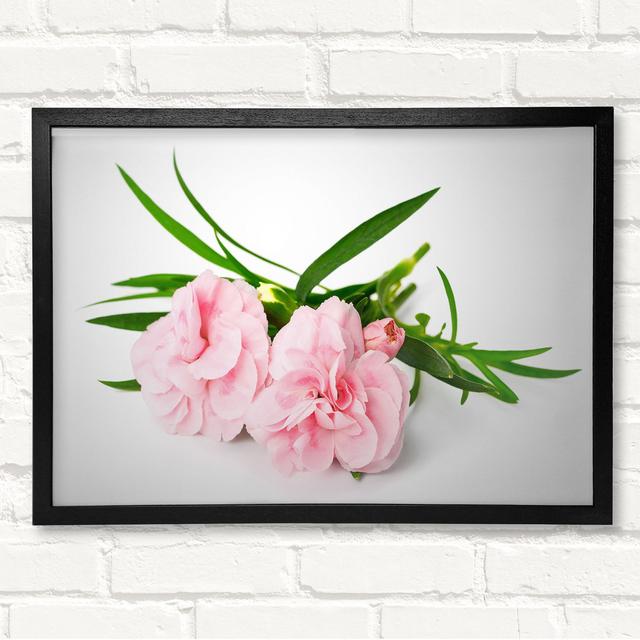 Pink Flowers Laid Out Framed Print Brayden Studio Format: Black Framed Wood, Size: 29.7cm H x 42cm W x 3cm D on Productcaster.