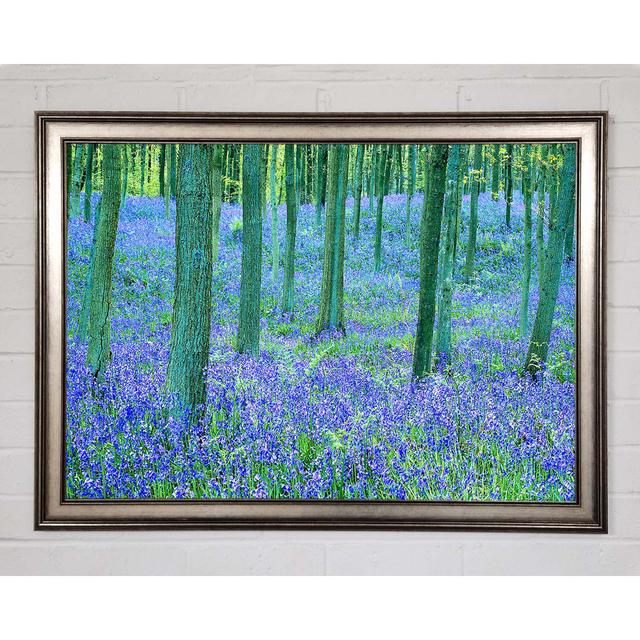 Bluebells In The Forest Framed Print Brayden Studio Size: 42cm H x 59.7cm W x 1.5cm D, Format: Gunmetal Framed Paper on Productcaster.