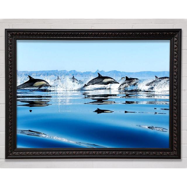 Dolphins In The Sea Framed Print Bright Star Size: 21cm H x 29.7cm W on Productcaster.