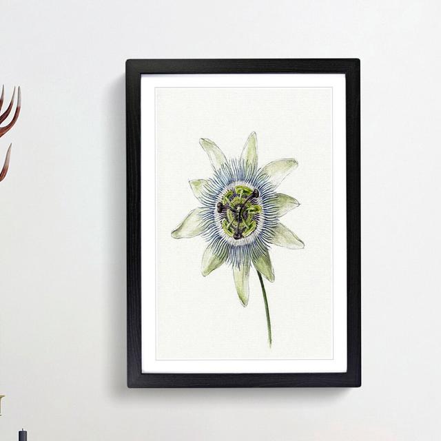 Passion Flower by Jean Bernard - Picture Frame Painting Print East Urban Home Frame Option: Black Framed, Size: 36cm H x 27cm W x 2cm D on Productcaster.