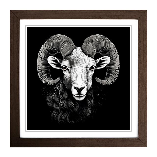 Ram Sheep No.2 - Single Picture Frame Print on Wood Alpen Home Frame Colour: Walnut on Productcaster.