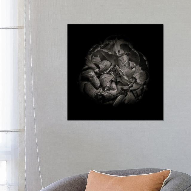 Black And White Peony I by Brian Carson - Wrapped Canvas Print Ebern Designs Size: 66.04cm H x 66.04cm W x 1.91cm D on Productcaster.