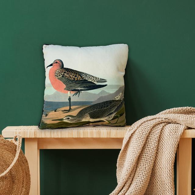 John James Audubon Red breasted sandpiper cushion 40x40cms East Urban Home on Productcaster.